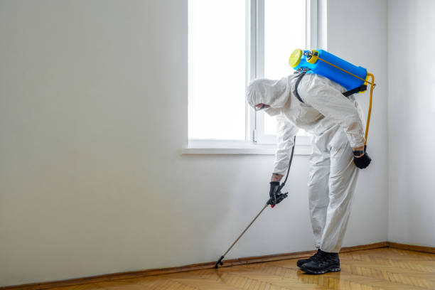 Best Cockroach Control Services  in Sequim, WA