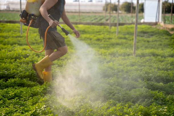 Best Exterminator Services  in Sequim, WA