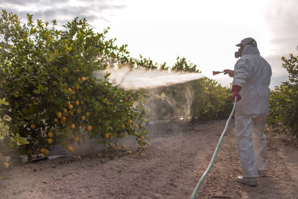 Best Emergency Pest Control  in Sequim, WA