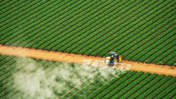 Best Mosquito Control Services  in Sequim, WA