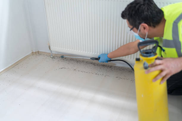 Best Local Pest Control Services  in Sequim, WA