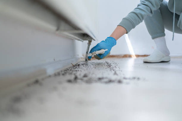 Best Best Pest Control Companies  in Sequim, WA
