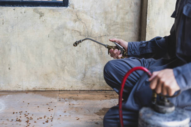 Best Rat Extermination Near Me  in Sequim, WA